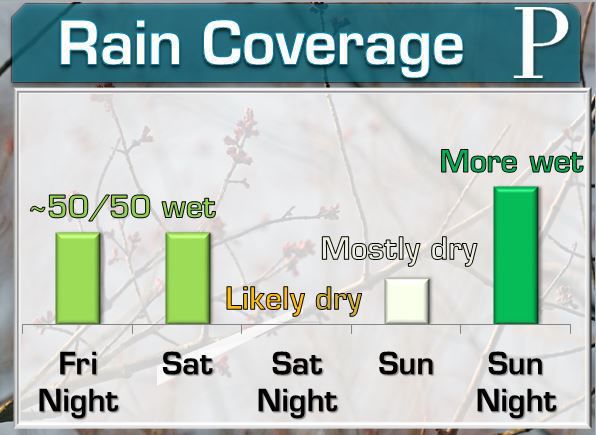 Rain Coverage